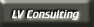LV Consulting